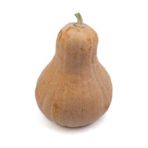 کدو حلوايي لوکوما - 1.5 تا 2 کيلوگرم