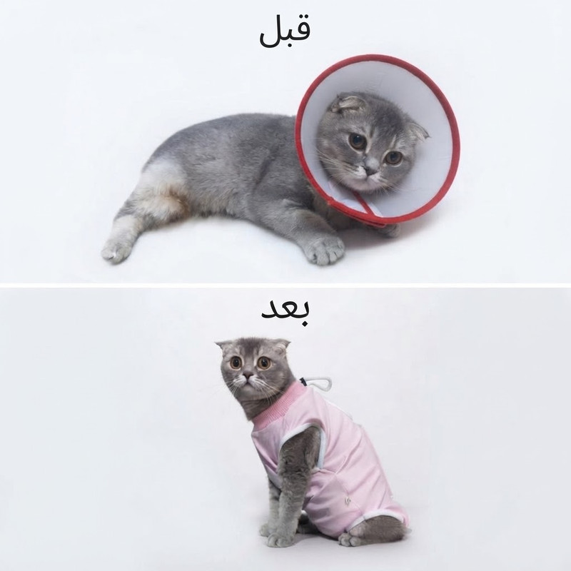 لباس ریکاوری گربه ماده مدل F41 سایز S