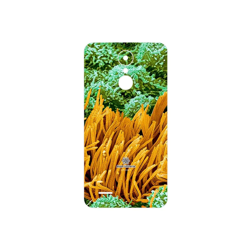 برچسب پوششی ماهوت مدل Atom Universe 6 مناسب برای گوشی موبایل ال جی K8 2017