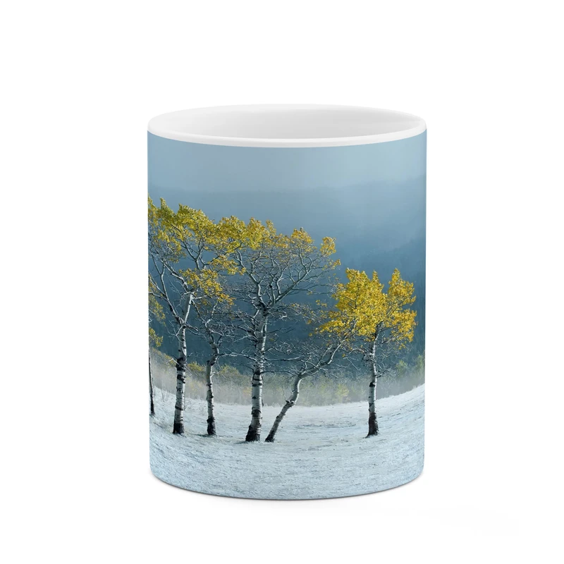 ماگ کاکتی مدل منظره کد mgh17152