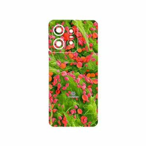MAHOOT Atom Universe 3 Cover Sticker for Motorola Edge 50 Pro