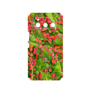 MAHOOT Atom Universe 3 Cover Sticker for Daria Bond 5G