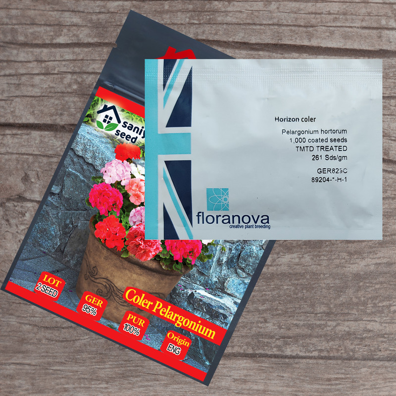 بذر گل شمعدانی الوان سانیا سید مدل SH3