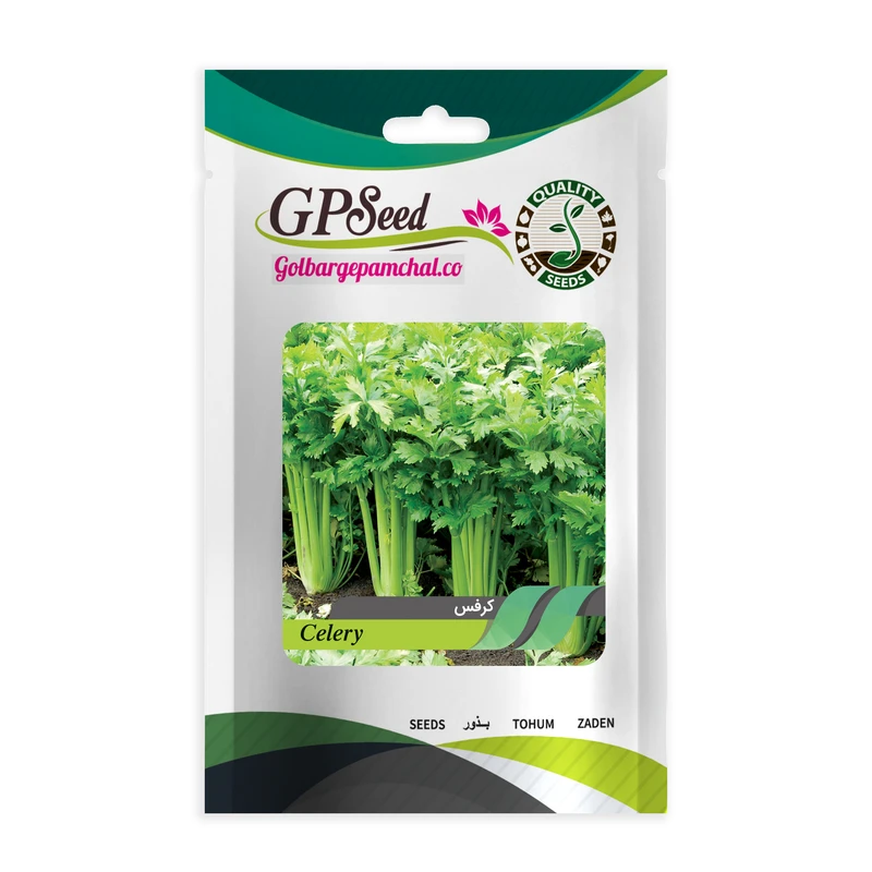 بذر کرفس گلبرگ پامچال کد GPF-157