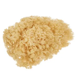 اسفنج شستشوی بدن سوآوی پیل مدل Baby Natural sea