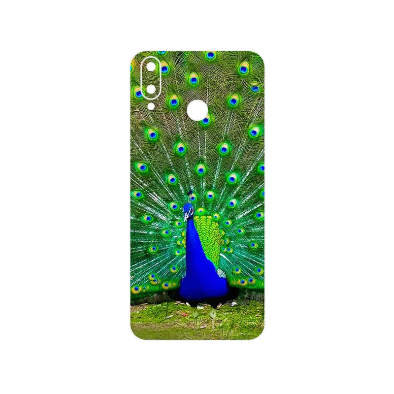 برچسب پوششی ماهوت مدل Peacock مناسب برای گوشی موبایل جی پلاس Q10