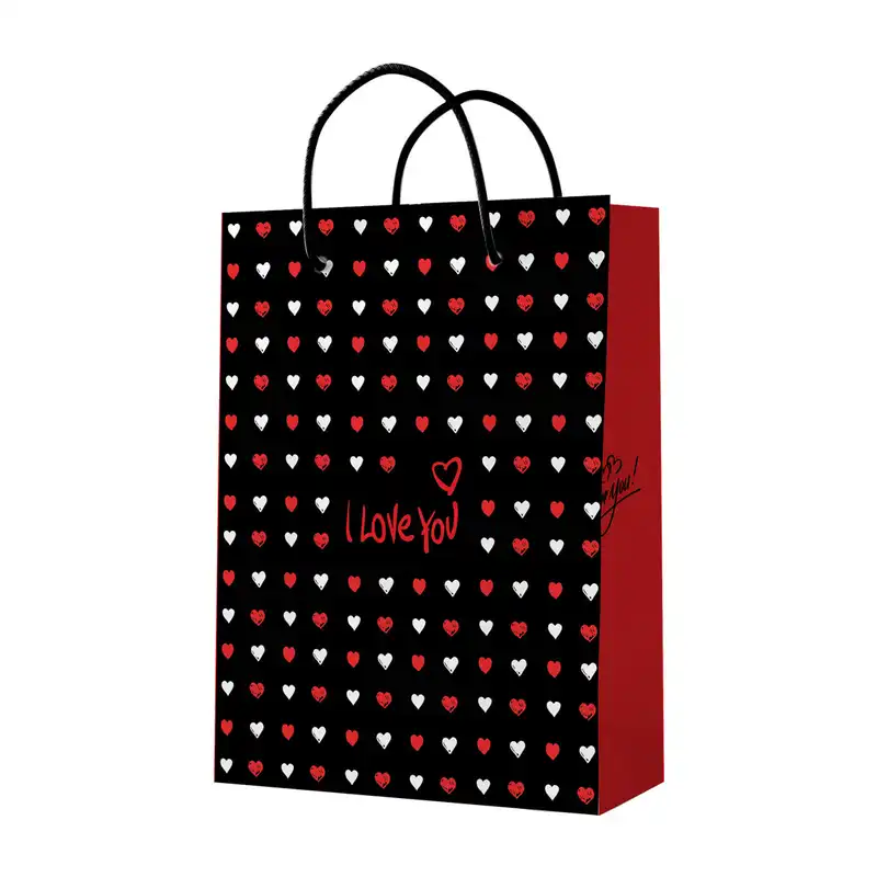 ساک دستی کد 10394 بسته 12 عددی