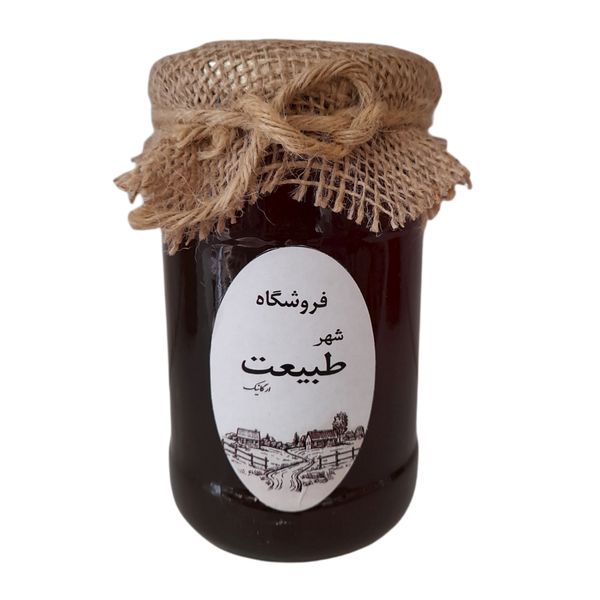 عسل زرشک ارگانیک شهر طبیعت 900 گرم عسل زرشک ارگانیک شهر طبیعت 900 گرم