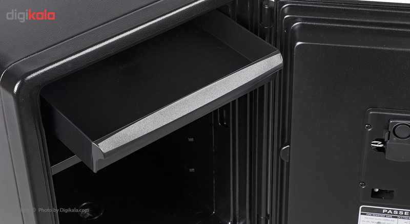 صندوق الکترونیکی نسوز ایگل مدل NPS-031D-BR