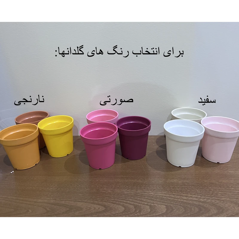 عکس شماره 4