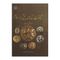 کتاب شناخت سکه های پیش از اسلام اثر بیتا سودایی انتشارات پازینه