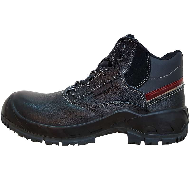 پوتین ایمنی مدل سپاستین