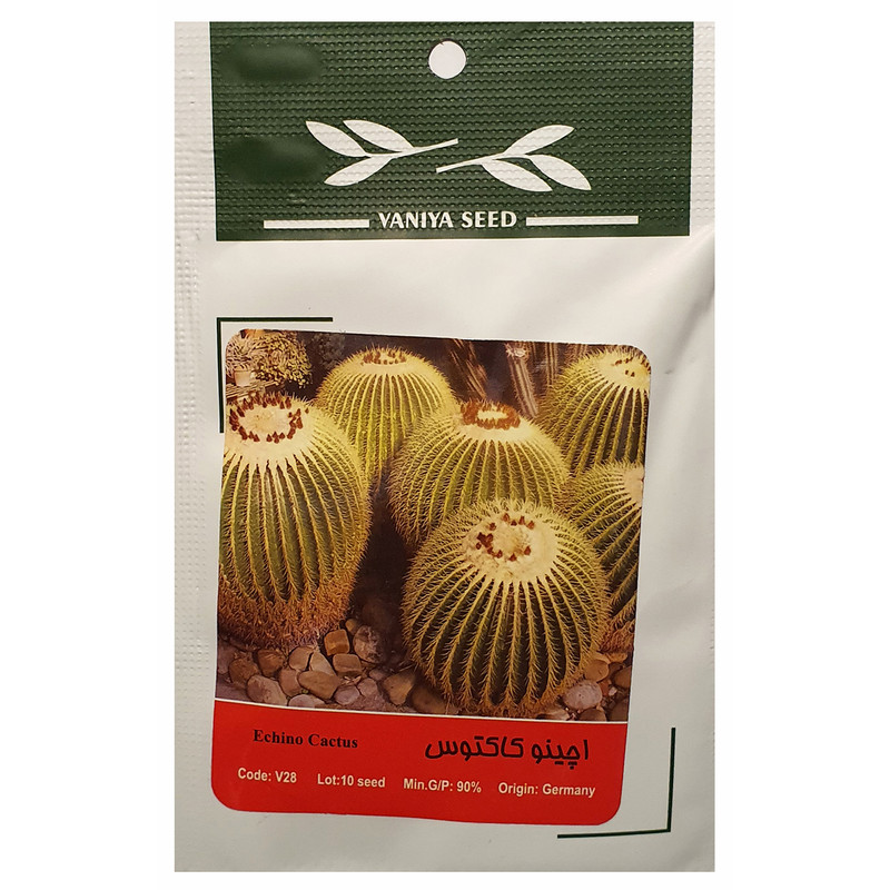 بذر اچینو کاکتوس وانیا سید مدل A-006 بذر اچینو کاکتوس وانیا سید مدل A-006