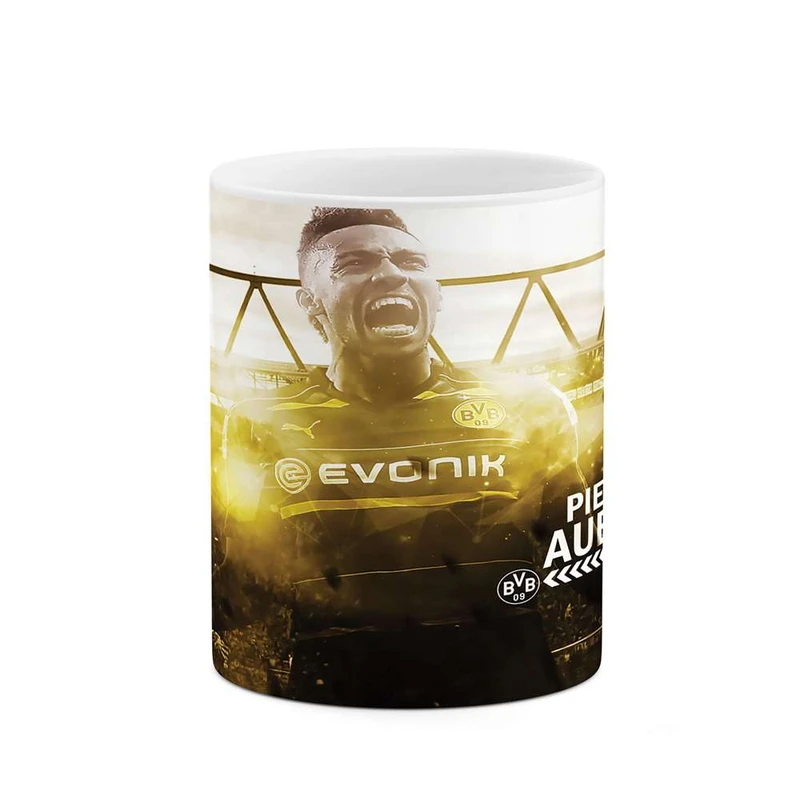 ماگ کاکتی مدل آبامیانگ کد mgh10308