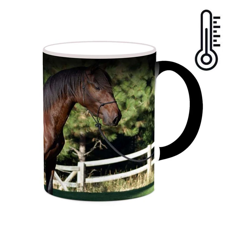 ماگ حرارتی کاکتی مدل اسب کد mgh24349