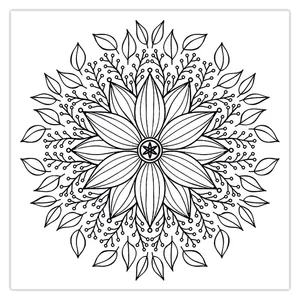 ZeeZip 992P20 Coloring Chassis Size 20x20 Cm