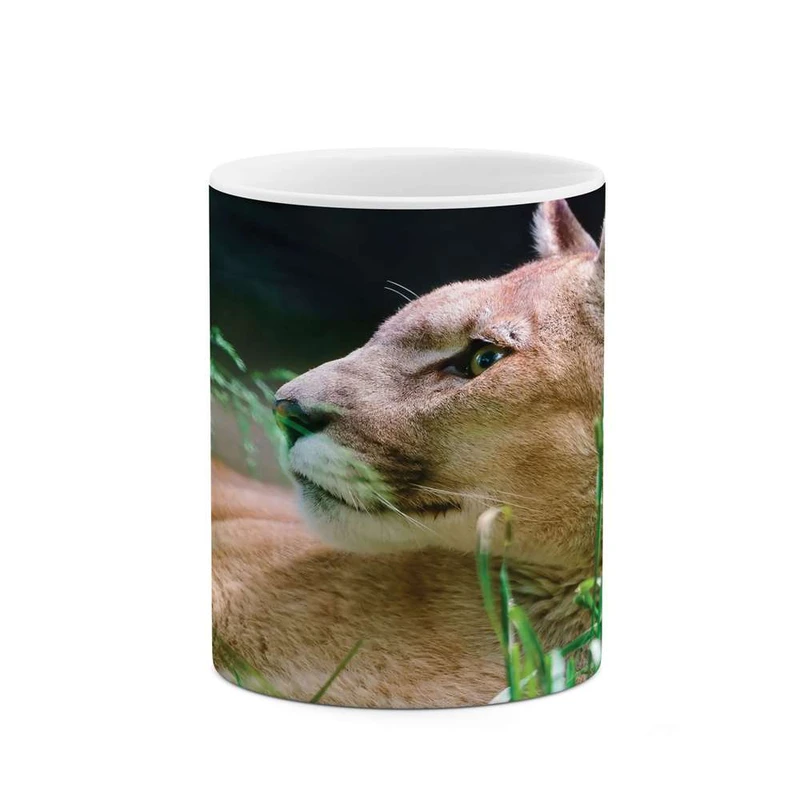 ماگ کاکتی مدل شیر کد mgh10267