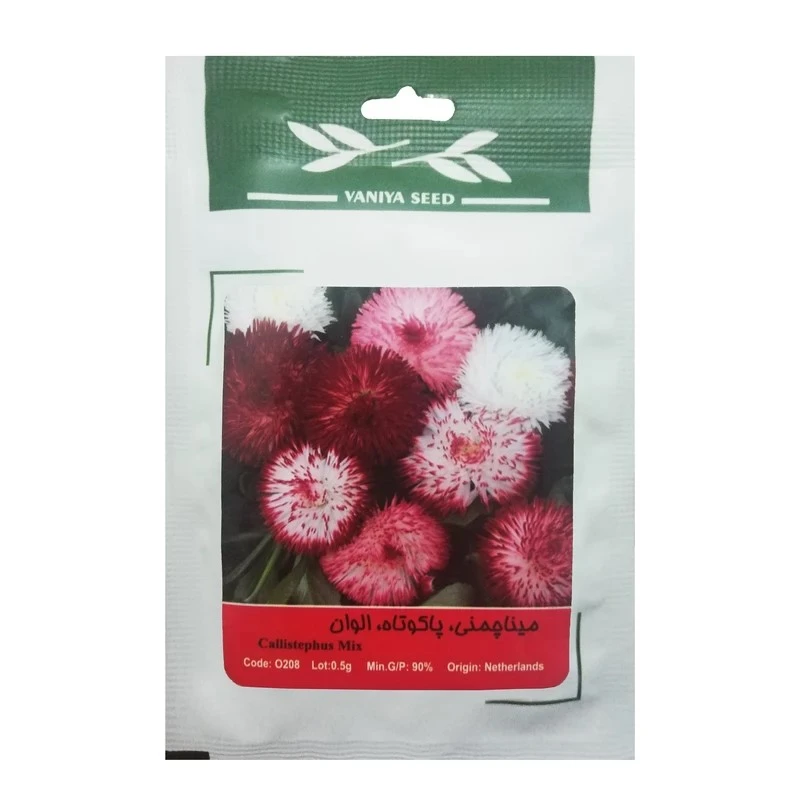 بذر گل مینا چمنی پاکوتاه الوان وانیا سید مدل BR783