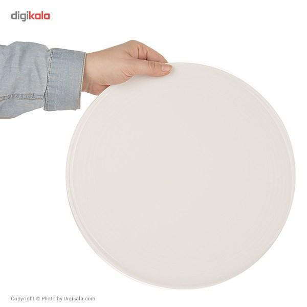 دیس پیتزای چینی زرین ایران مدل پیتزا درجه یک