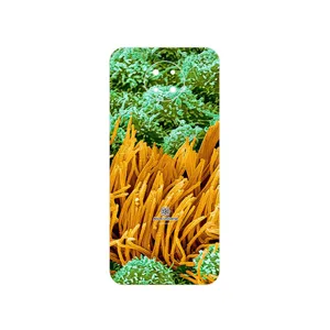 MAHOOT Atom Universe 6 Cover Sticker for Nokia G10
