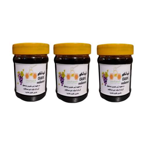 شیره انگور محلی شهر طبیعت - 400 گرم مجموعه 3 عددی