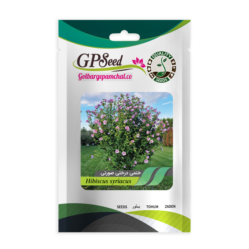 بذر گل ختمی درختی صورتی گلبرگ پامچال کد GPF-344