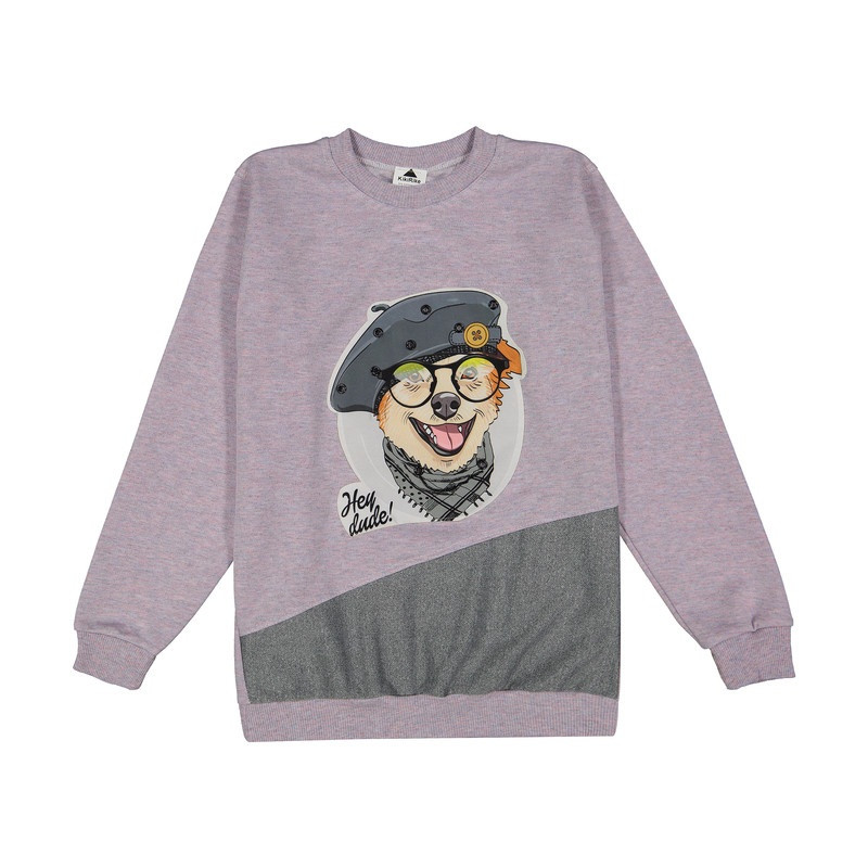 ست سویشرت و شلوار دخترانه مدل RAMESH 00321471