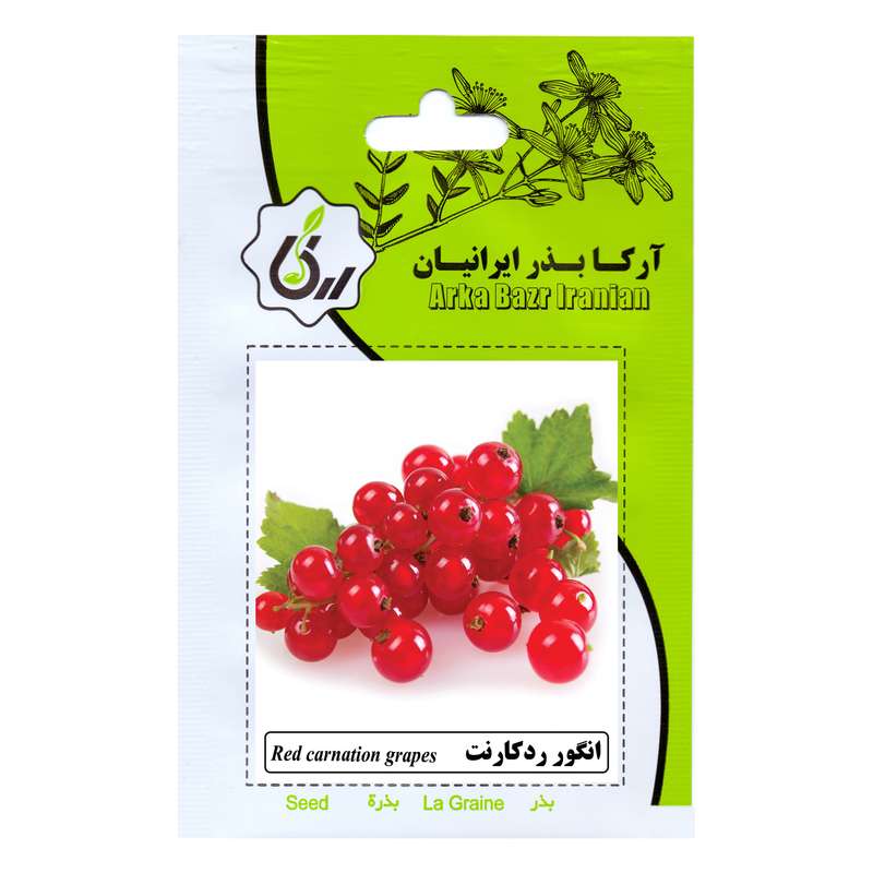 بذر انگور رد کارنت آرکا بذر ایرانیان کد ARK-116
