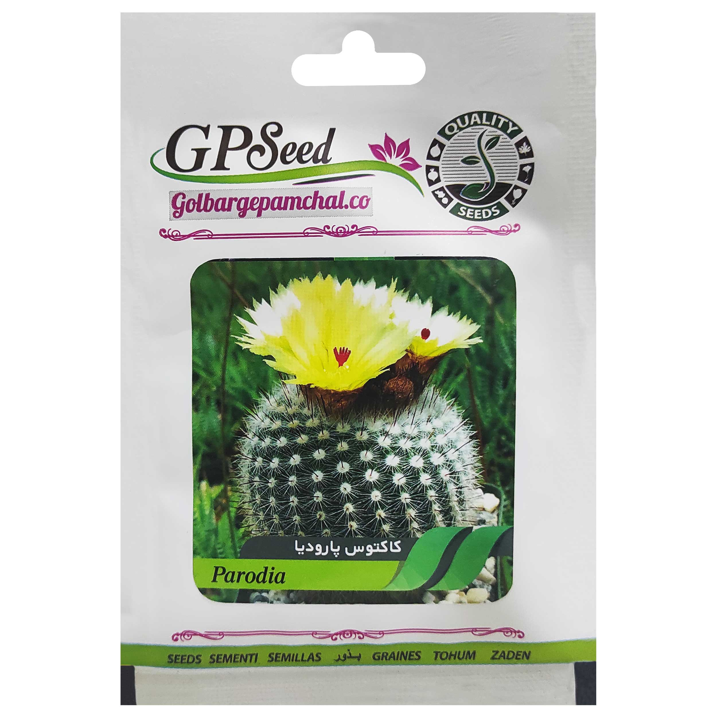 بذر کاکتوس پارودیا گلبرگ پامچال کد GPF-183