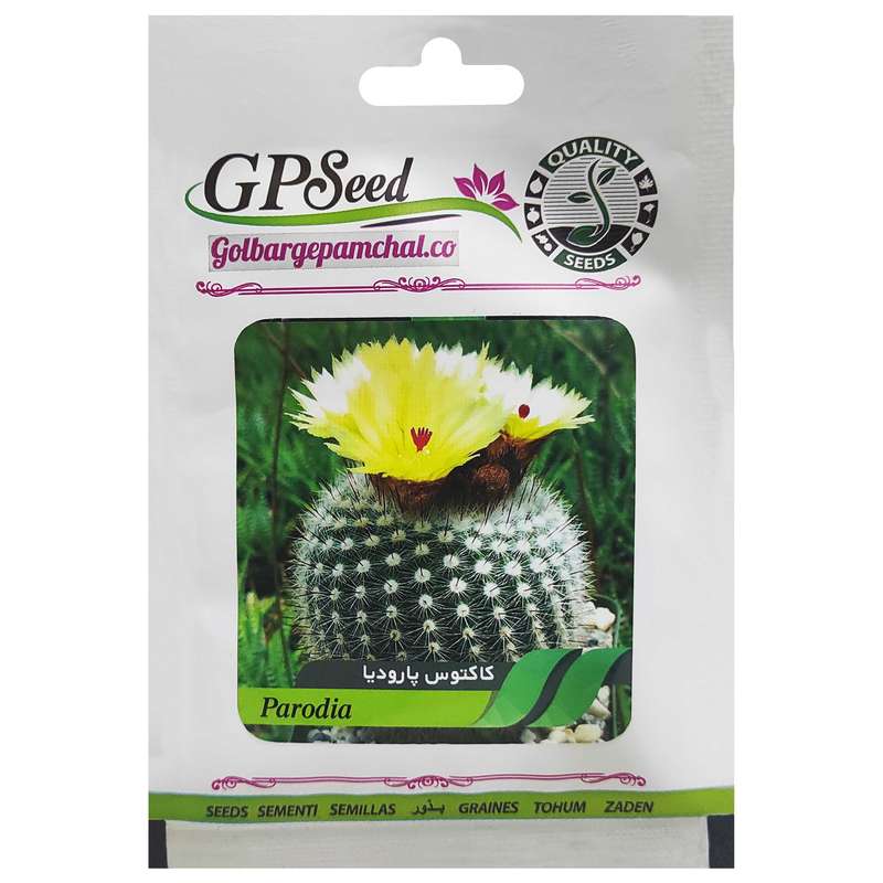 بذر کاکتوس پارودیا گلبرگ پامچال کد GPF-183