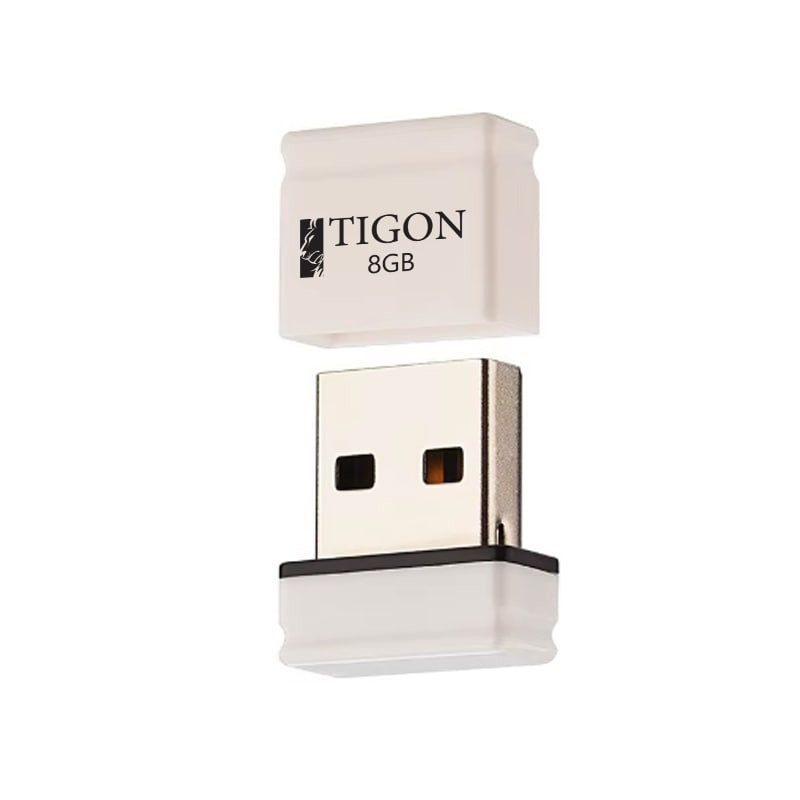 فلش مموری تایگون مدل Epsilon ظرفیت هشت گیگابایت با رابط USB 2.0