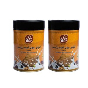 قوتو چهل گیاه رژیمی ممتاز رضا بیجاری کرمان - 600 گرم بسته 2 عددی