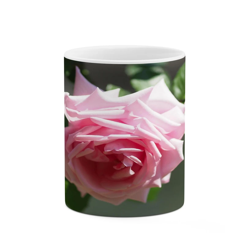 ماگ کاکتی مدل گل کد mgh17445