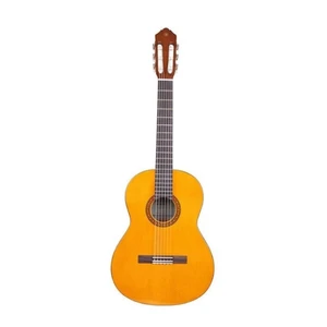 گیتار مدل پارسی P80