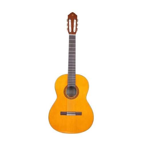 گیتار مدل پارسی P80