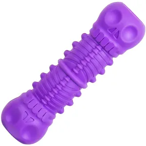 اسباب بازی سگ مدل purple bone