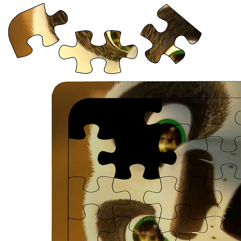 پازل 54 تکه طرح پاندا کنگفو کار کد 9204