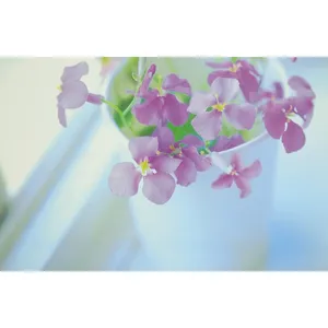 کارت پستال مدل بهار