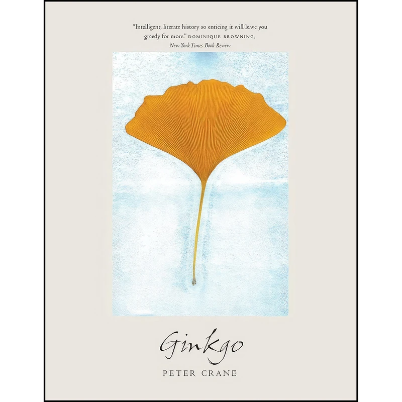 کتاب Ginkgo اثر جمعي از نويسندگان انتشارات Yale University Press