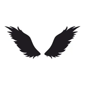 برچسب بدنه خودرو آداک طرح بال تو پر کد Balb02
