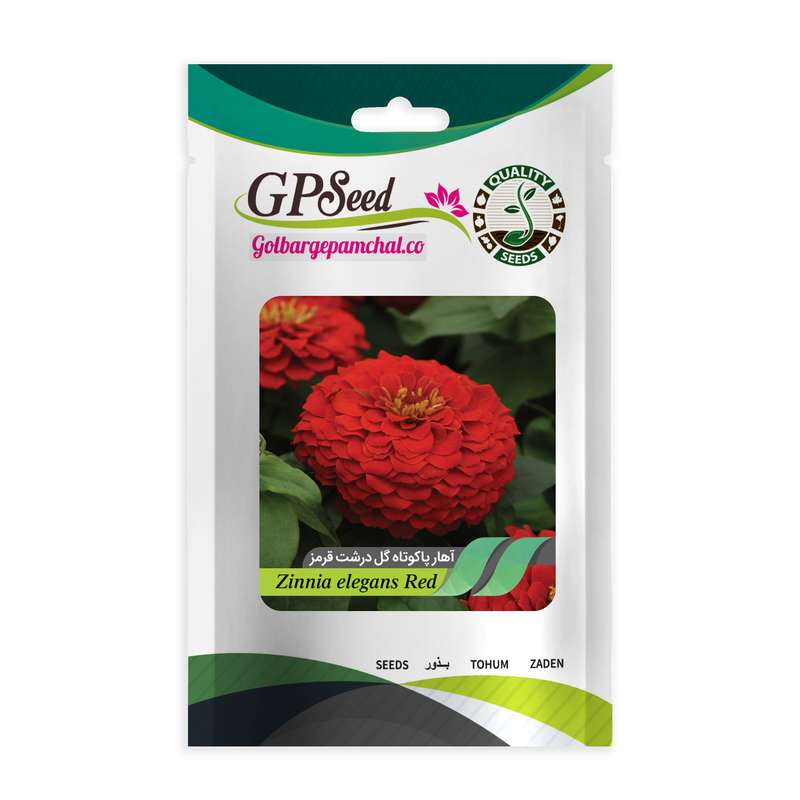 بذر گل آهار پامتوسط گلدرشت قرمز گلبرگ پامچال کد GPF-282