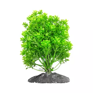 گیاه تزیینی آکواریوم مدل بوته ای کد 2164