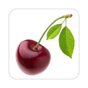 زیر لیوانی کاکتی طرح میوه مدل mp21646