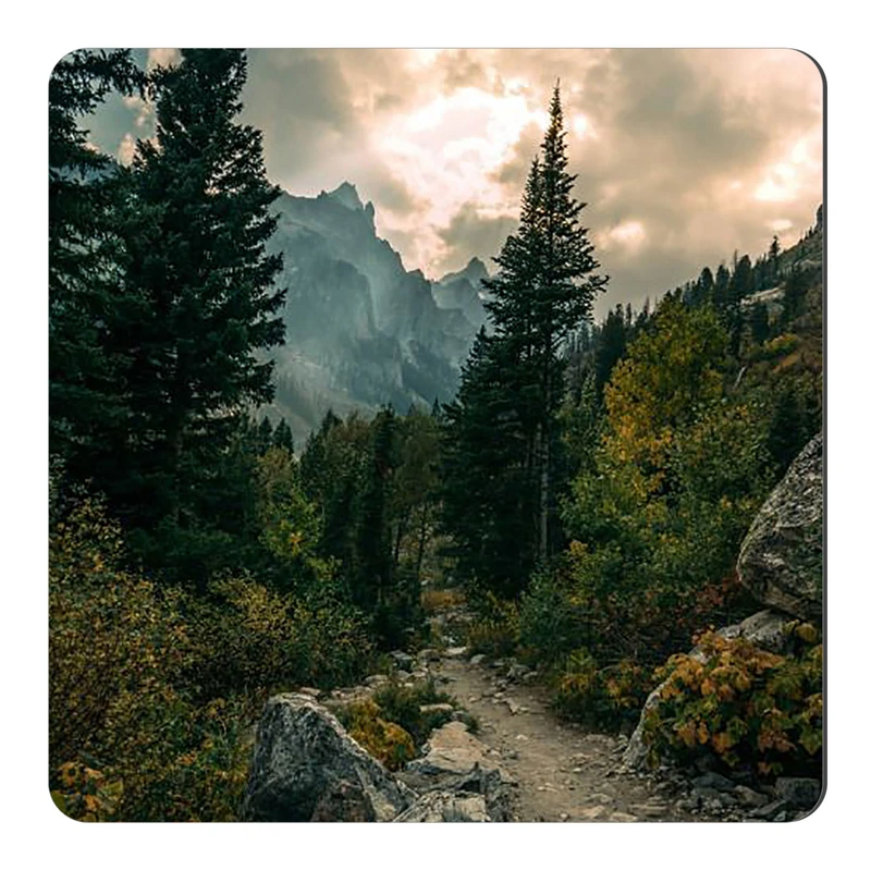  مگنت طرح کوهستان و جنگل کد wmg2065