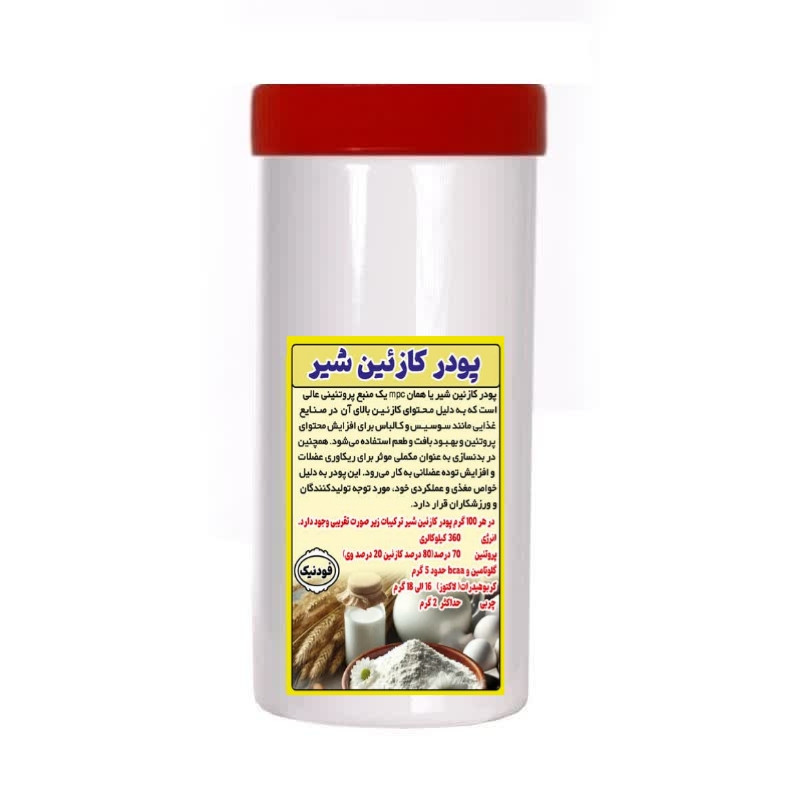 پودر کازئین شیر فودنیک - 500 گرم