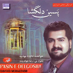آلبوم موسیقی پسین دلگشا اثر داوود مهذبیه