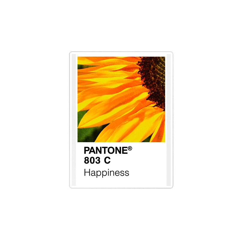 استیکر لپ تاپ ماسا دیزاین طرح pantone مدل venus561