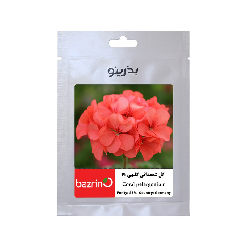 بذر گل شمعدانی گلبهی F1 آلمانی بذرینو کد BZNO-300