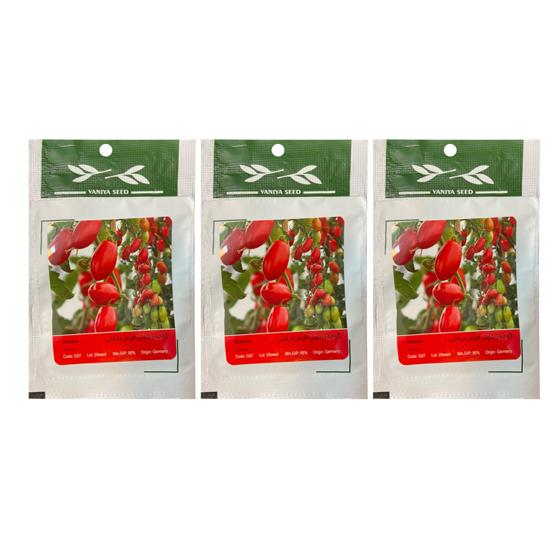 بذر گوجه زیتونی قرمز درختی وانیا مدل Tomato Aureum بسته 3 عددی