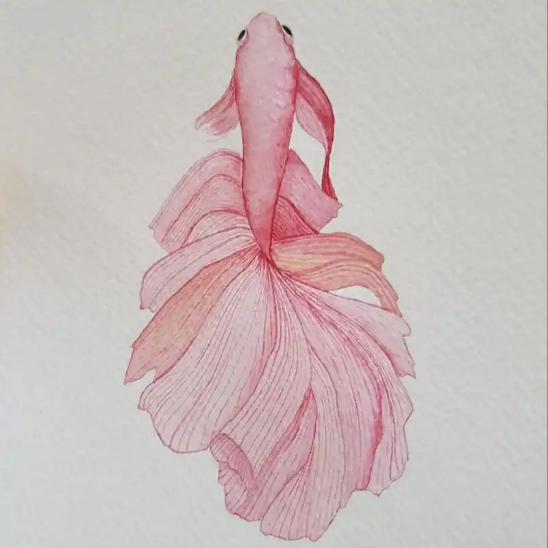 نقاشی مداد رنگی کد 01